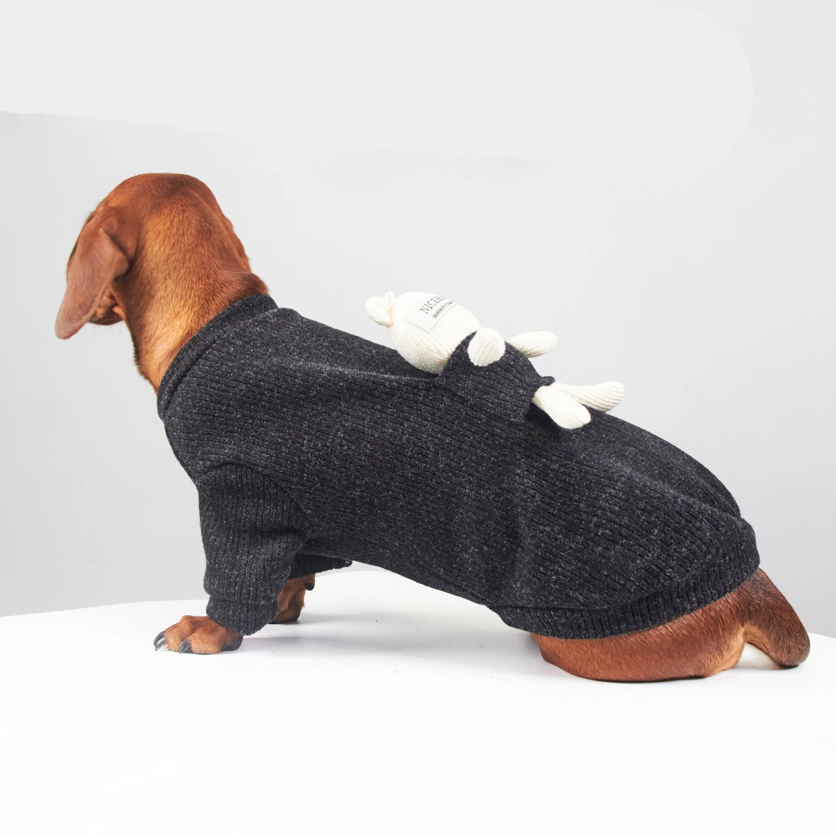 Abrigo punto suave para perros pequeños Dachshund – Primavera y otoño - imagen 4