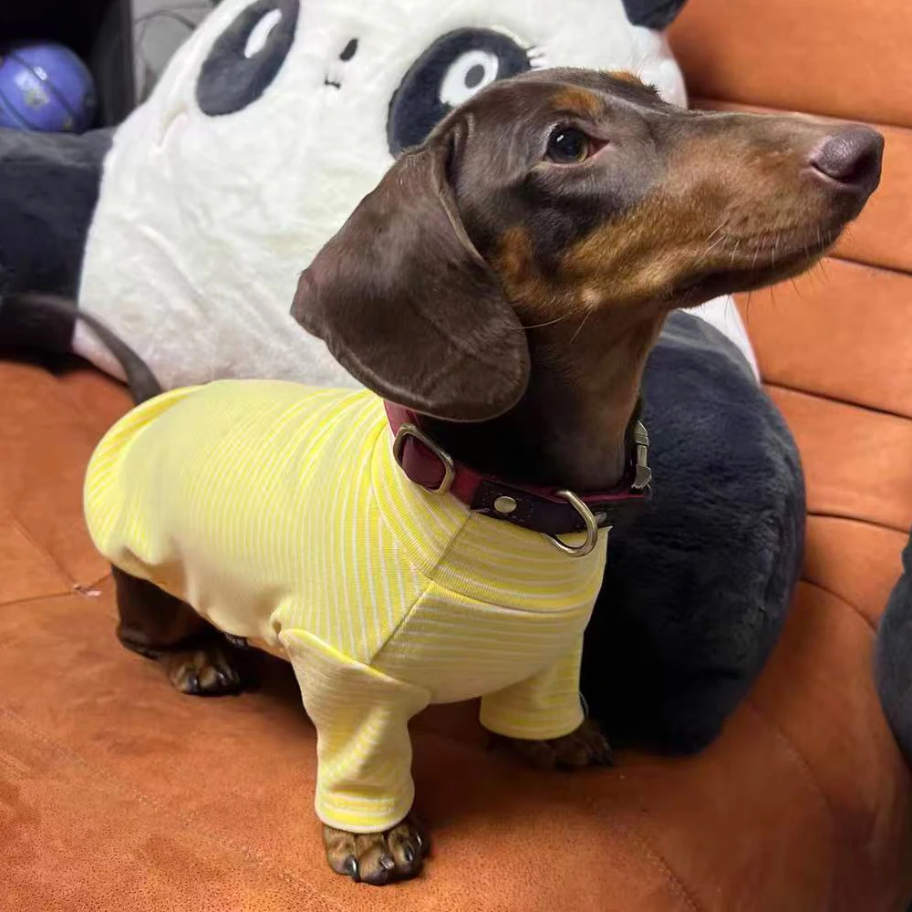 Pijama para Dachshund pequeño: suave y cálido, estampado zorro - imagen 2