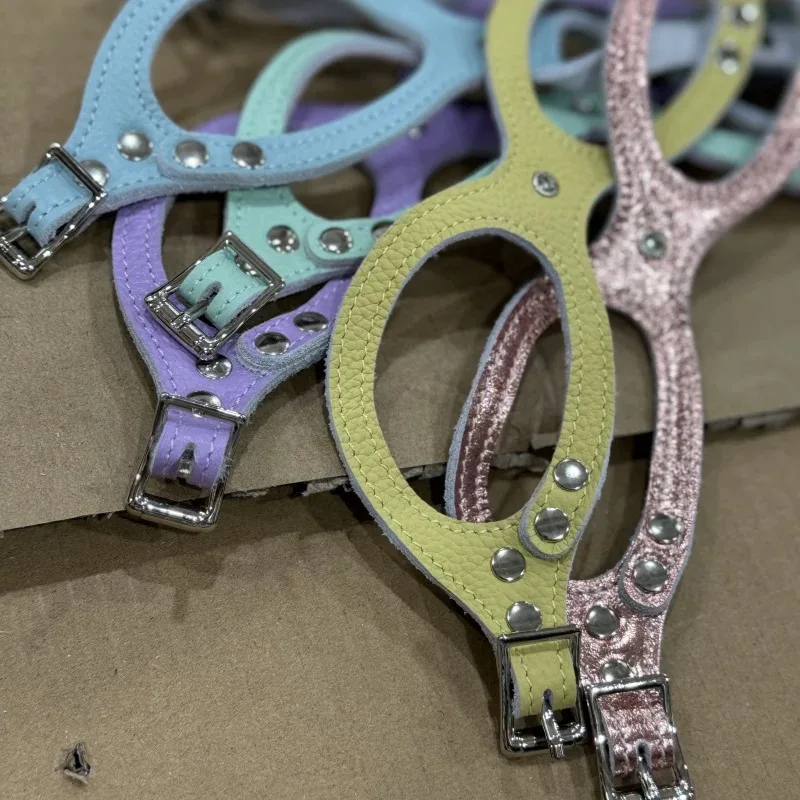 Arnés de cuero con diamantes para perros - correa a juego - imagen 4