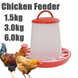 Alimentador automático para pollos, palomas y codorniz