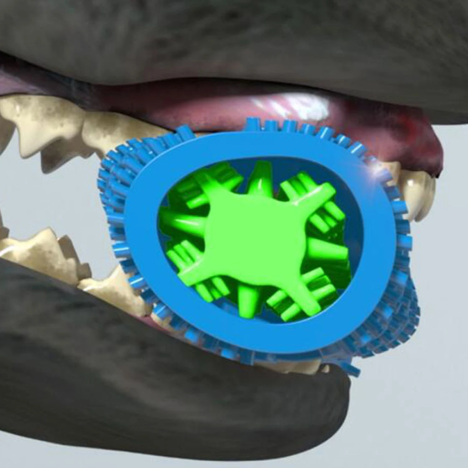 Juguete dental para perros – Limpiador de dientes masticable - imagen 4