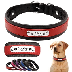 Collar de cuero acolchado para perros grandes, comodo y resistente