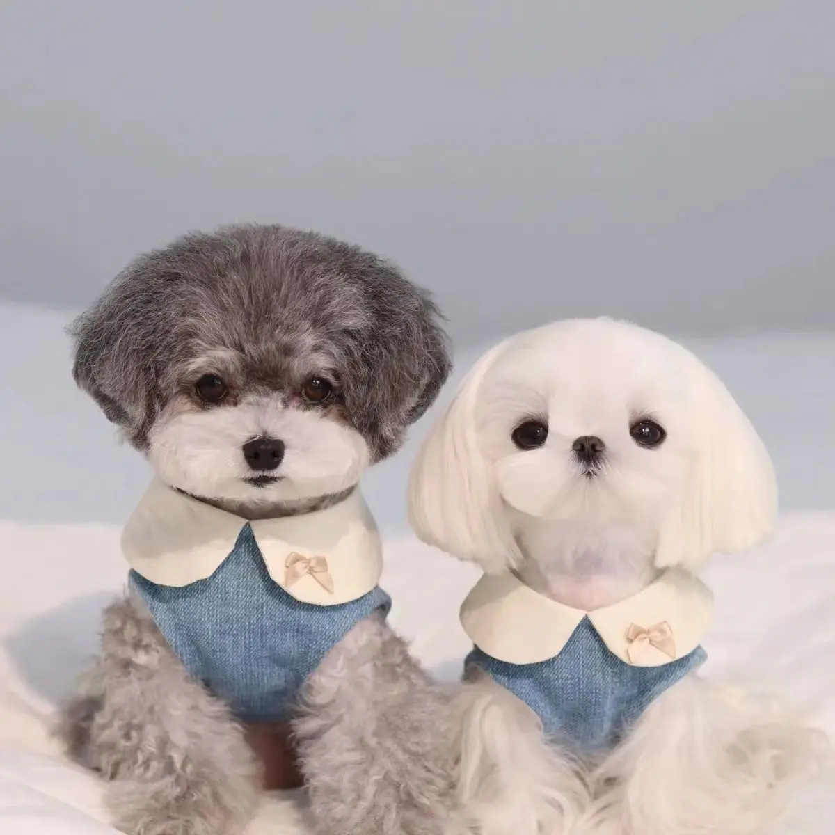 Ropa para mascotas estilo ins para primavera/verano, faldas con solapa bordadas de tela fina para perros pequeños y gatos, trajes cómodos de moda - imagen 3