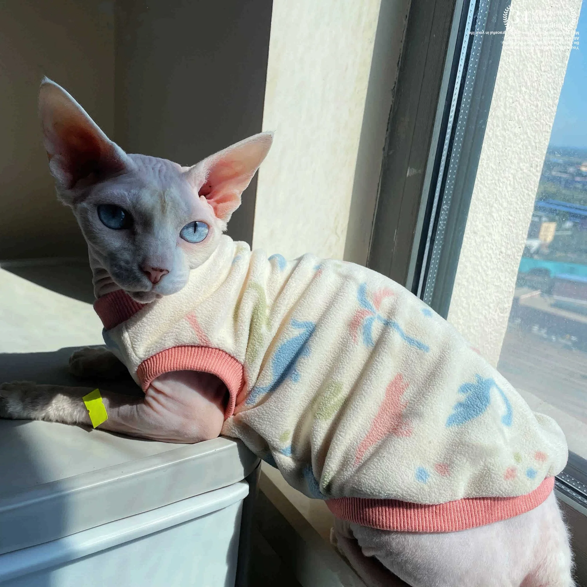 Suéter de dinosaurio de felpa suave para gatos Sphynx en otoño, abrigo de osito de dibujos animados de manga corta para Devon Rex, sudadera de invierno para mascotas, pijamas cálidos para gatitos en clima frío