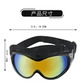 Black Dog Goggles