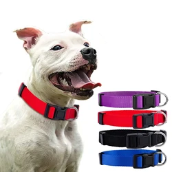 Collar de nylon con liberación rápida para perros – Ajuste seguro