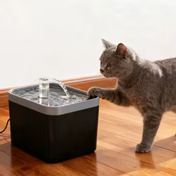 Fuente de agua para gatos de gran capacidad de 2,5 L, fuente para mascotas con bomba ultrasilencioso, diseño antisalpicaduras y filtración duradera para gatos