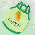 carrot