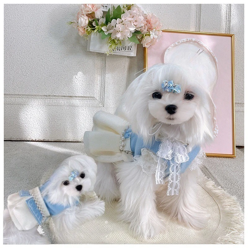 Vestido de otoño/invierno para mascotas, abrigo esponjoso para parejas, ropa de peluche Yorkshire, abrigo de invierno, ropa para perros pequeños, ropa para cachorros