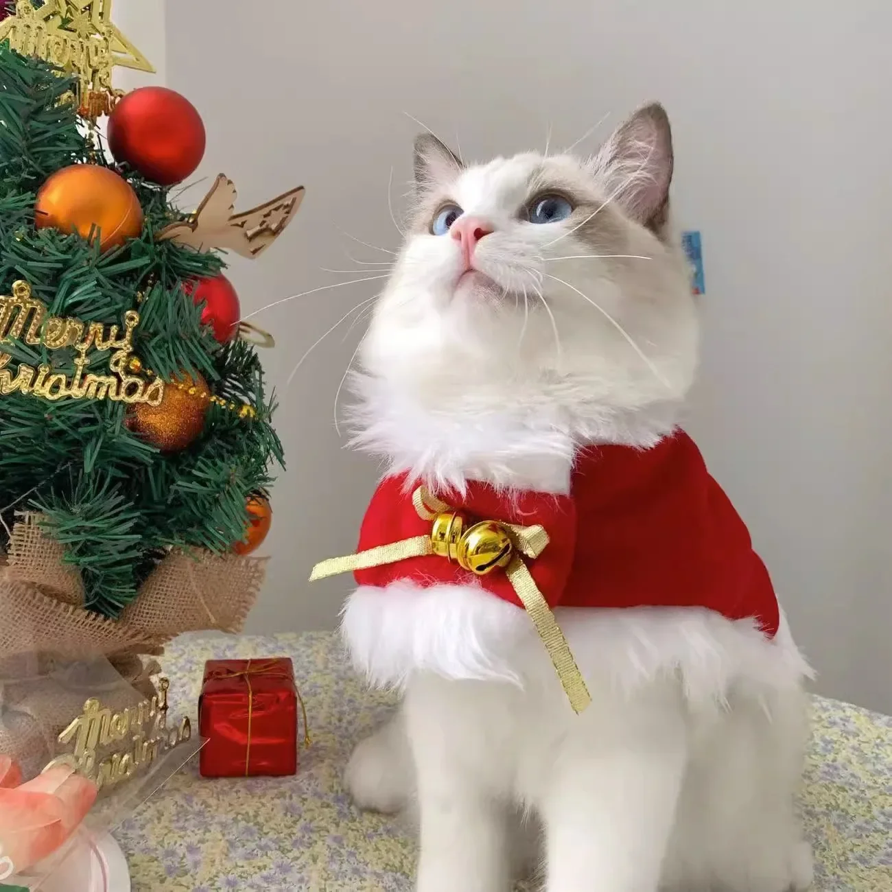 Abrigo de Navidad para mascotas, bonito cuello de felpa, capa para gato de otoño e invierno, traje de Navidad, bufanda con campana para perro, sombrero, capa, ropa para cachorro - imagen 2