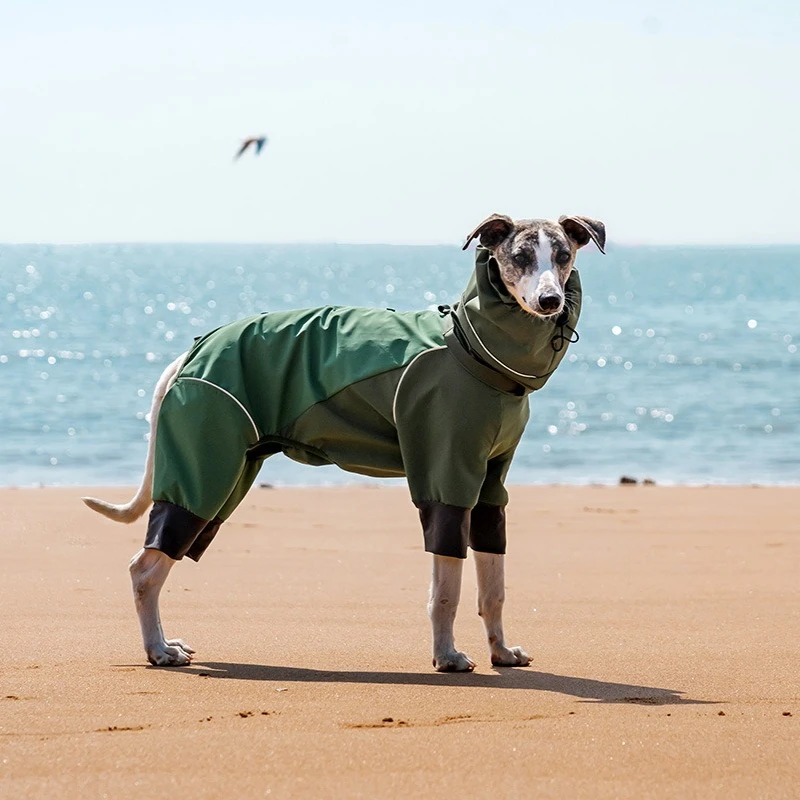 Ropa deportiva para perros, ropa para cachorros pequeños al aire libre, chaqueta impermeable para perros grandes, ropa, accesorios para mascotas, suministros de productos - imagen 3