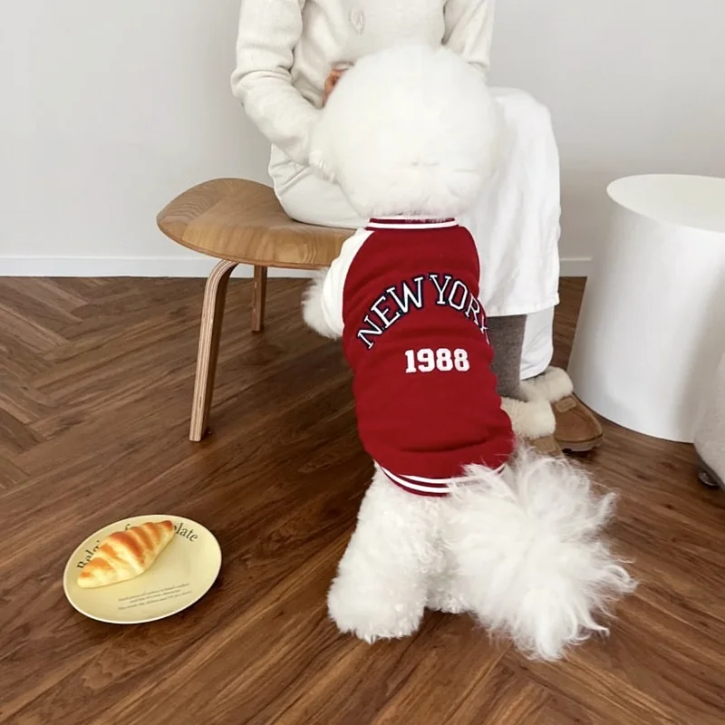 Chaqueta protectora para perros – Sudadera cómoda para paseo - imagen 3