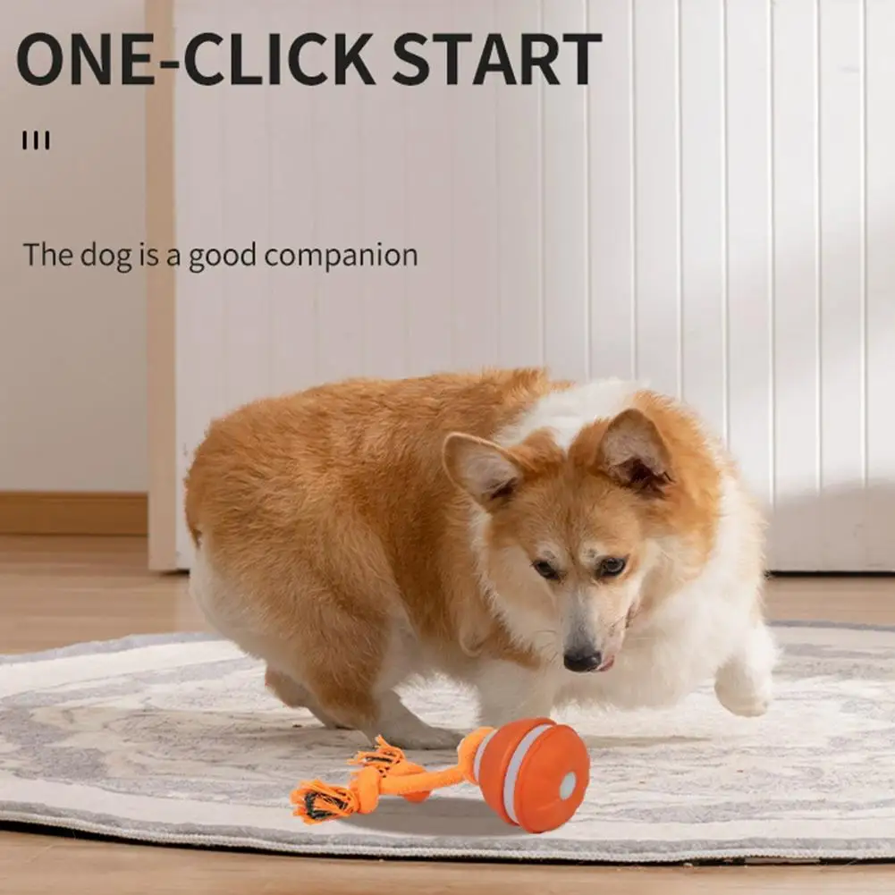 Pelota interactiva para perros con cuerda y movimiento en interiores - imagen 2
