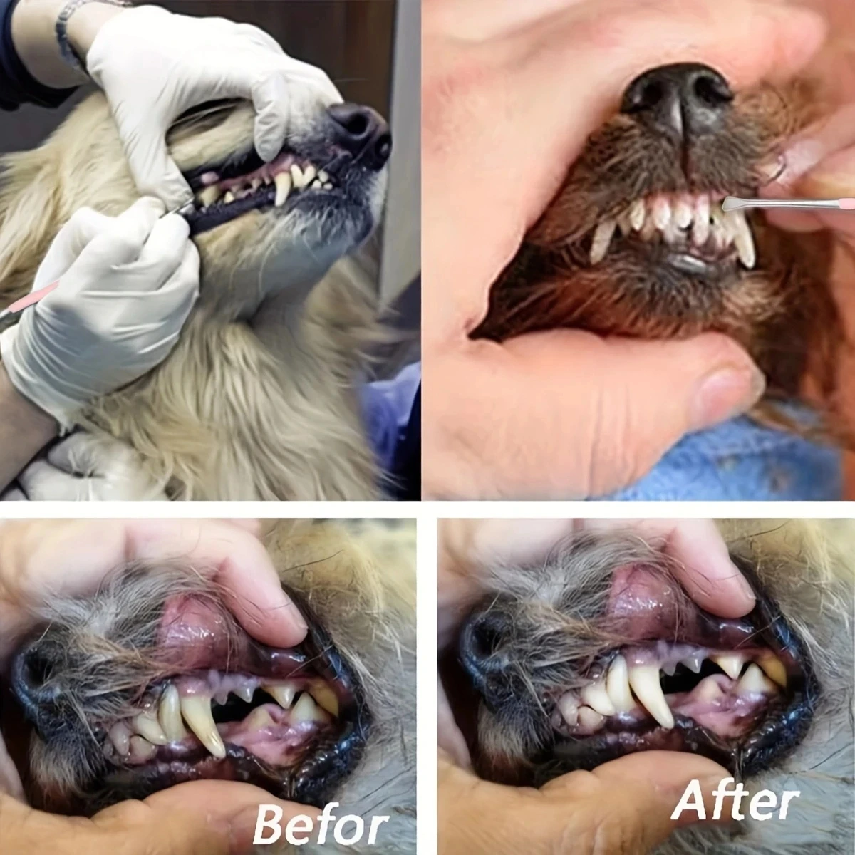 Limpiador de dientes para perros y mascotas, eliminador de sarro de acero inoxidable, Kit de raspador, Herramientas de limpieza Oral para mascotas, accesorios para sarro de doble cabeza, 1 ud. - imagen 3