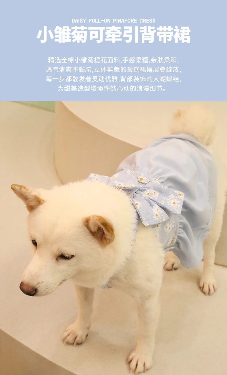 hmqViviiyNSAyin9WueXt+12rewDESeSrPhY