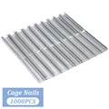 1000pcs nails