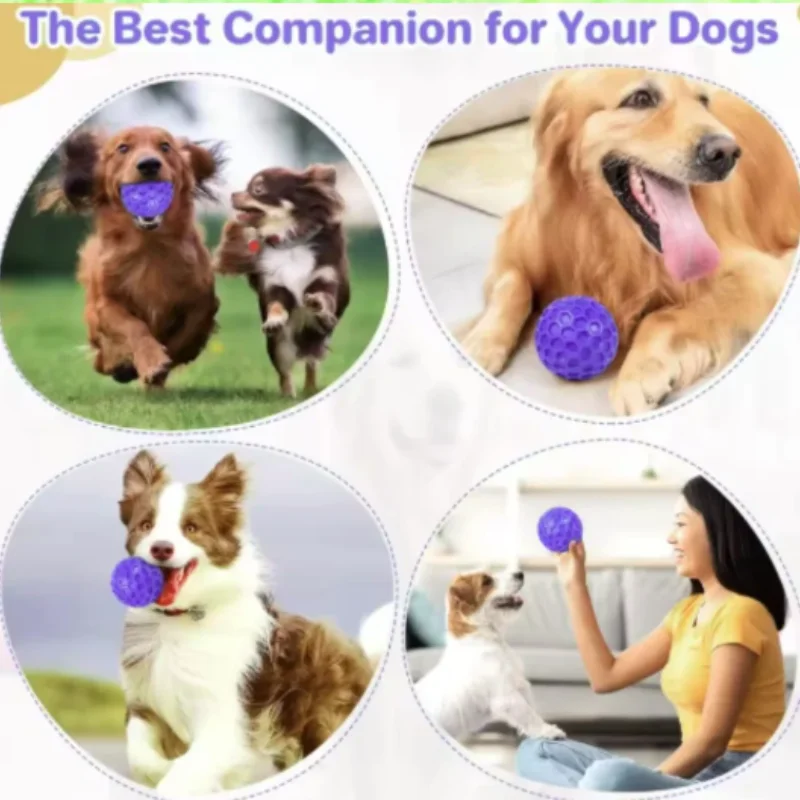 Nuevos juguetes para perros, resistentes a mordeduras, interactivos, bolas de panal con sonido, goma Natural, juguetes para dientes limpios, productos para mascotas - imagen 4