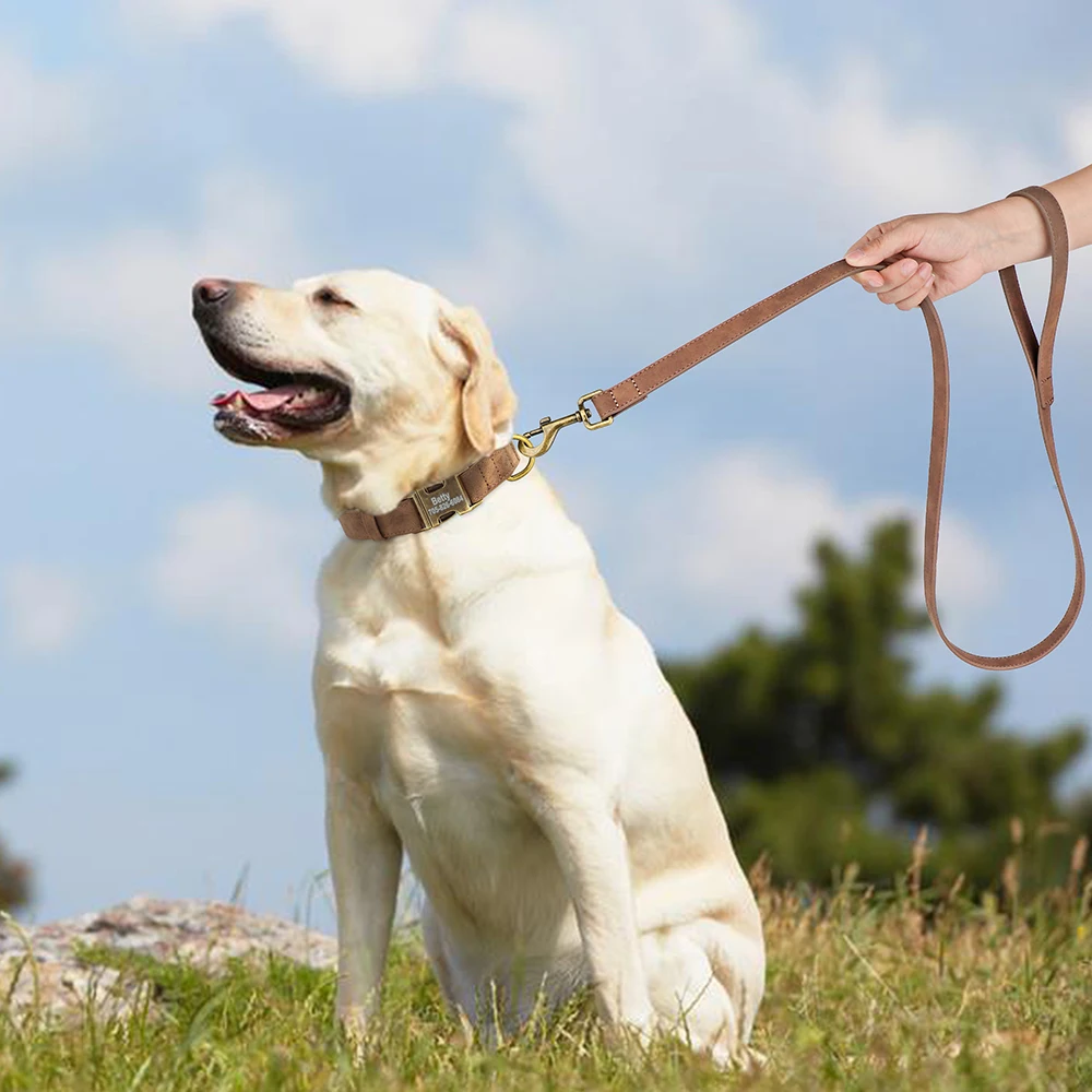 Conjunto de correa de Collar personalizado para perro, correa de plomo para caminar, collares de cuero para mascotas, perros pequeños, medianos y grandes, Pug - imagen 5