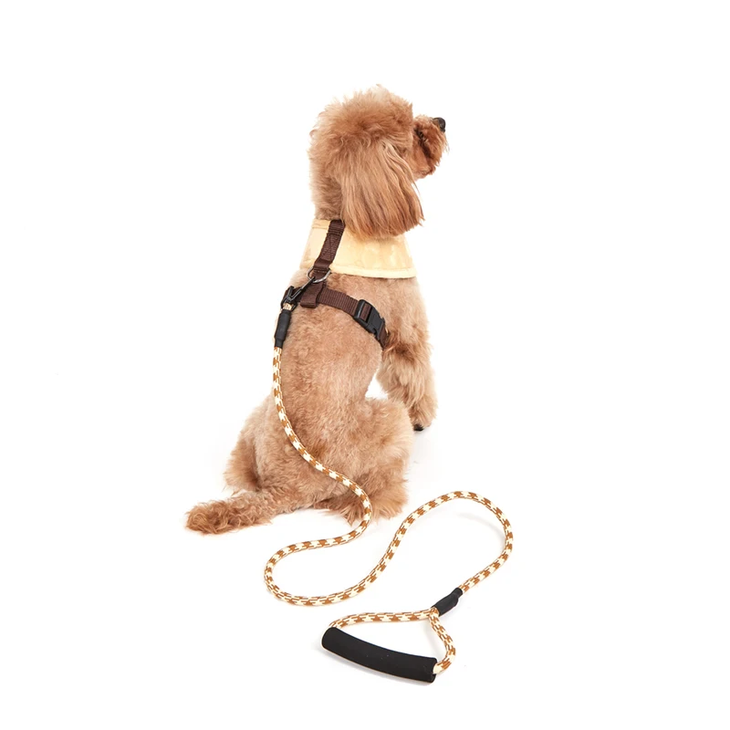Conjunto de correa de arnés para perro pequeño, chaleco ajustable para cachorro y gato, Bulldog Francés, Chihuahua, Pug, correa de plomo para caminar al aire libre - imagen 5