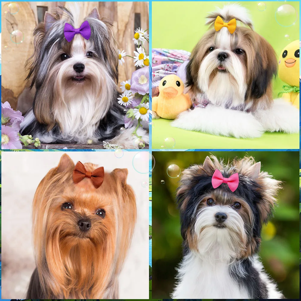 500 Uds. Lazos para perros a granel, lazos para el pelo para mascotas, bandas de goma con puntos sólidos, accesorios para el cabello para perros pequeños, aseo para perros pequeños - imagen 5