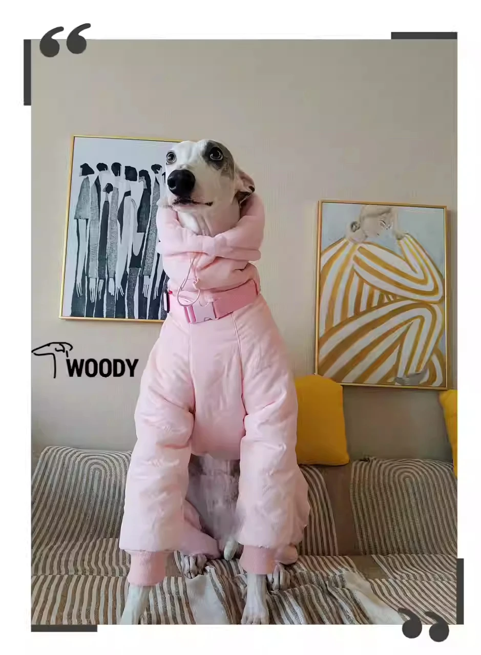 Ropa rosa de Whippet para niña, abrigo acolchado con cuello de tortuga para perro, Chaqueta de algodón ajustable cálida para galgo italiano, invierno - imagen 2