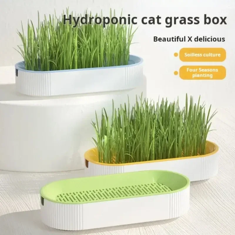 Caja hidropónica de hierba para gatos, golosinas para gatos, hierba gatera, plantación hidropónica sin suelo, juego de ollas de hierba para gatos para un fácil crecimiento, tazón para gatos