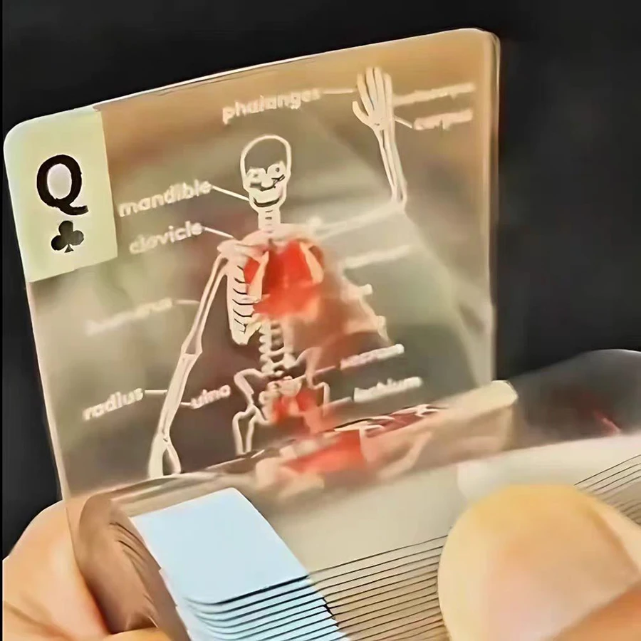 Tarjetas de juego: anatomía canina y felina para dueños de mascotas - imagen 2
