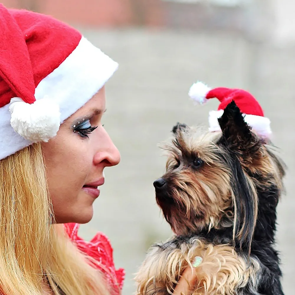 Sombrero de Papá Noel para perros y gatos, sombrero de Navidad para cachorros pequeños, adornos de disfraces de vacaciones, accesorios de Cosplay, gorras, suministros para fiestas de Navidad para mascotas - imagen 2