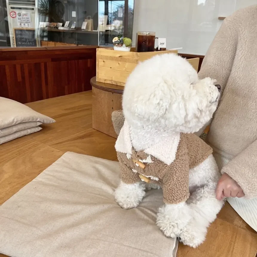 Ropa cálida para perros y gatos, Chaqueta de algodón con botones, ropa gruesa de moda, suministros para mascotas, accesorios para Otoño e Invierno - imagen 5