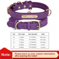 Purple Collars