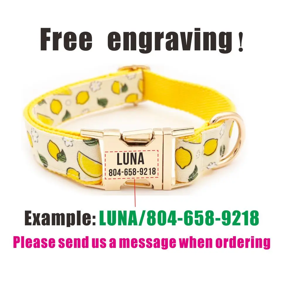 Collar personalizado del cachorro del perro del limón de la historieta de la hebilla del metal, correa a juego disponible - imagen 4