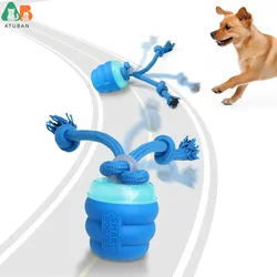 Pelota interactiva con movimiento y sonido para perros – Entrenamiento activo