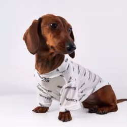 Pijama malla ultravioleta para perros pequeños Dachshund