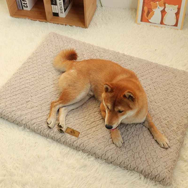 Cama de espuma 3D colocada dentro de una transportadora para perros