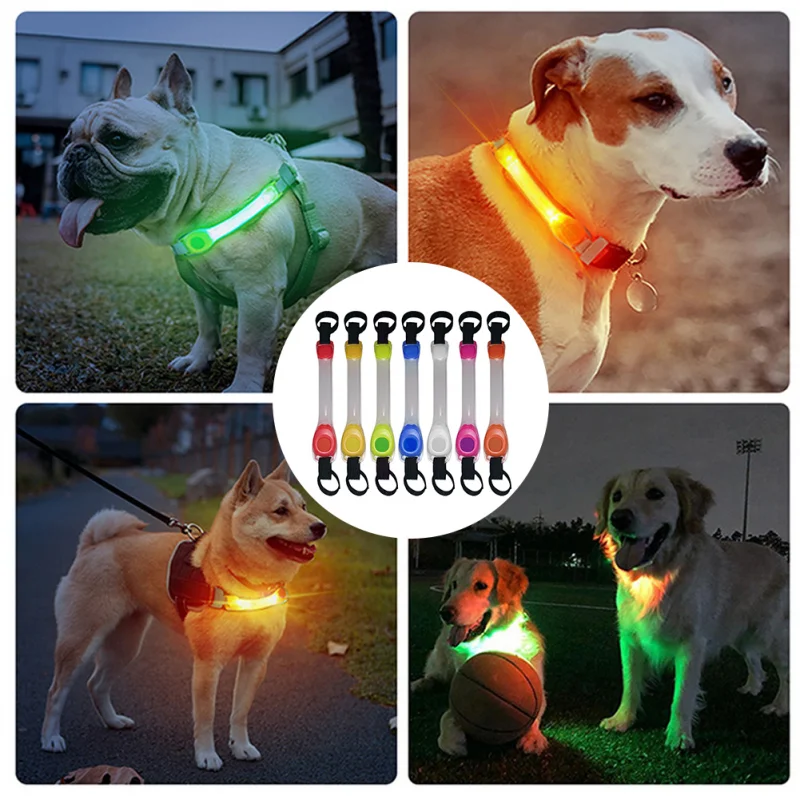 Collar brillante de seguridad antipérdida para perros, tira de luz LED intermitente de advertencia impermeable para exteriores, arnés de correa para mascotas, accesorios para perros - imagen 3