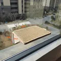 Sisal Springboard