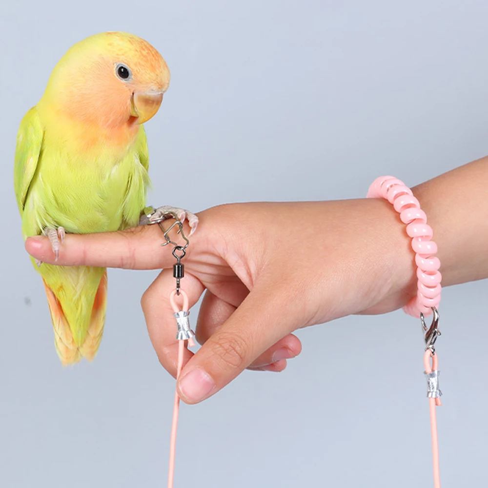 Cuerda de liberación para loros, correa para pájaros ultraligera, no dañina hasta los pies, cuerda de liberación de vuelo para loros y mascotas, correa para pájaros (sin anillo para pie), 1 ud. - imagen 4