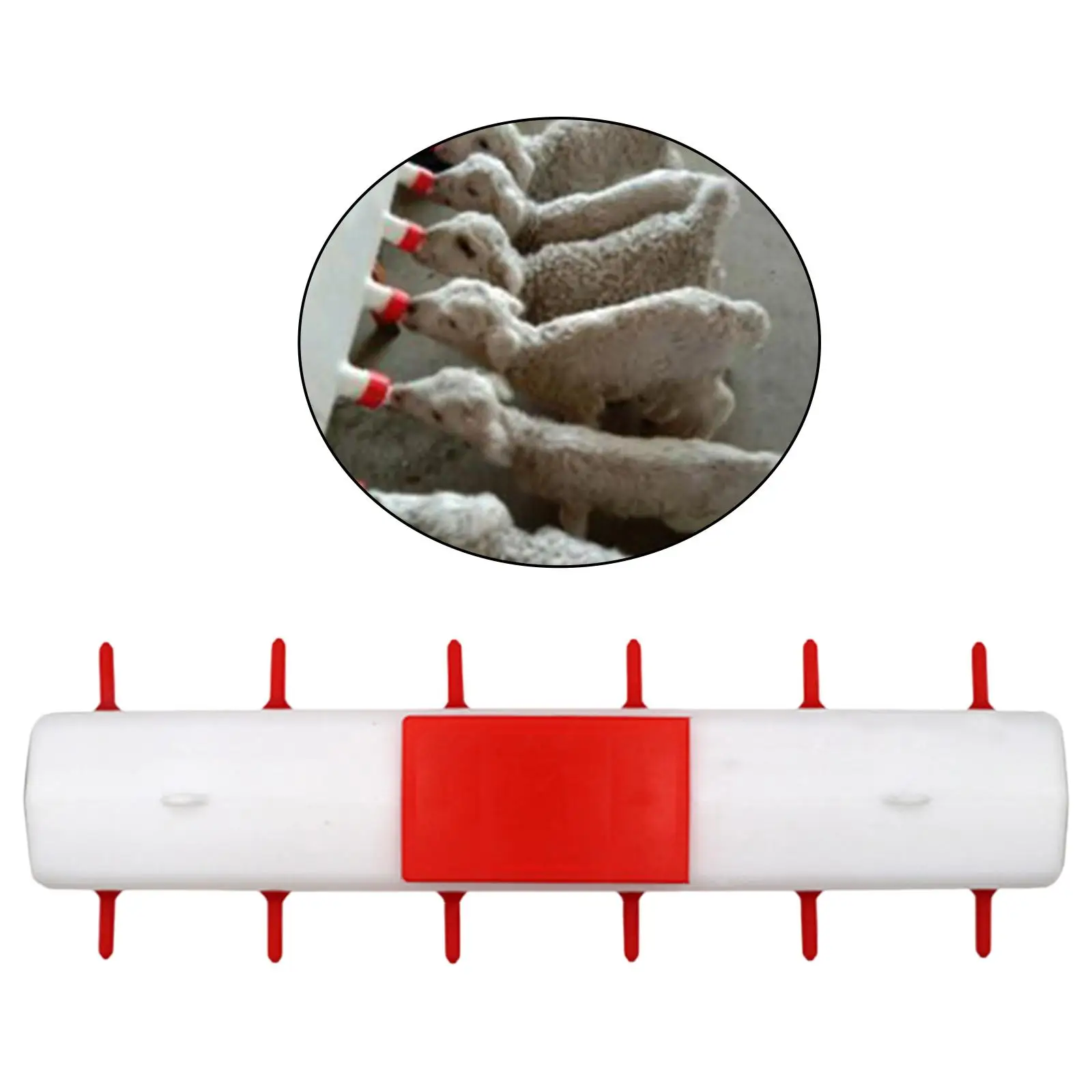 MiLK Feed Bucket Large-capacity MiLK Bottle Feeder Livestock