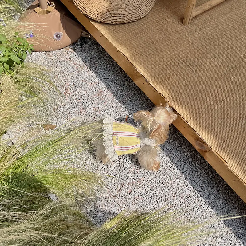 Vestido de tirantes para mascotas, vestido a rayas para perros, vestido de tirantes Rural Retro a rayas, oso de peluche Yorkshire, vestido para mascotas, vestidos para perros pequeños - imagen 2