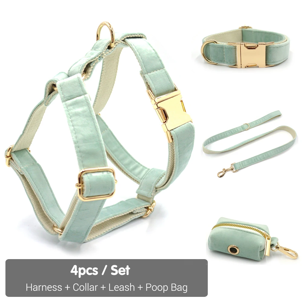 Harness Collar Set