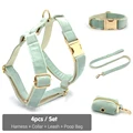 Harness Collar Set