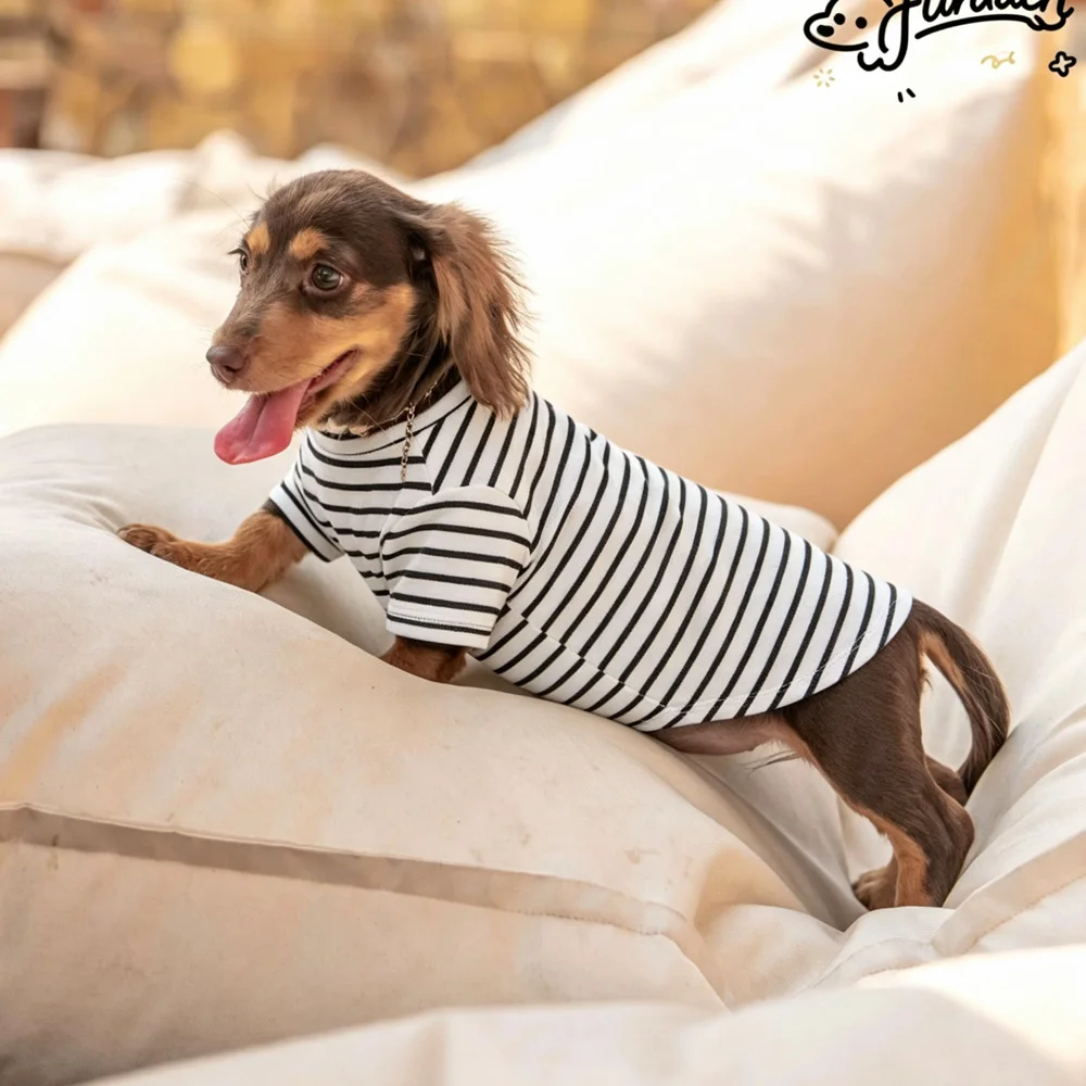 Camiseta de algodón a rayas para perros Dachshund, verano y primavera - imagen 2