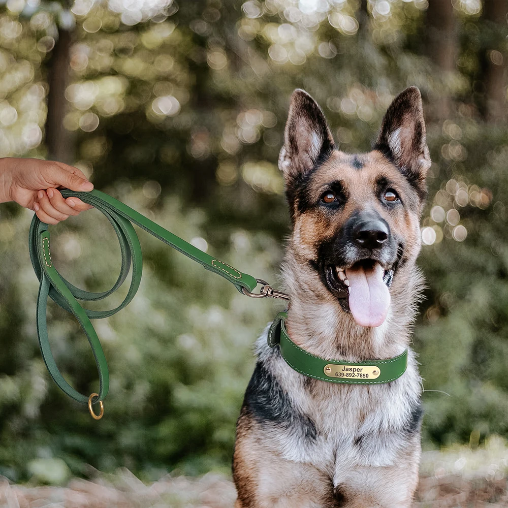 Conjunto collar y correa de cuero para perros medianos y grandes – Bulldog Francés - imagen 4