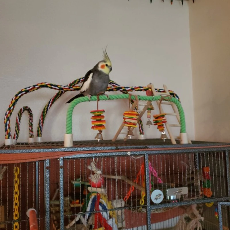 Juguete para morder pájaros, loro de pie, cuerda tejida, juguete para masticar pájaros, perchas de pie flexibles para loros y mascotas para periquito - imagen 5