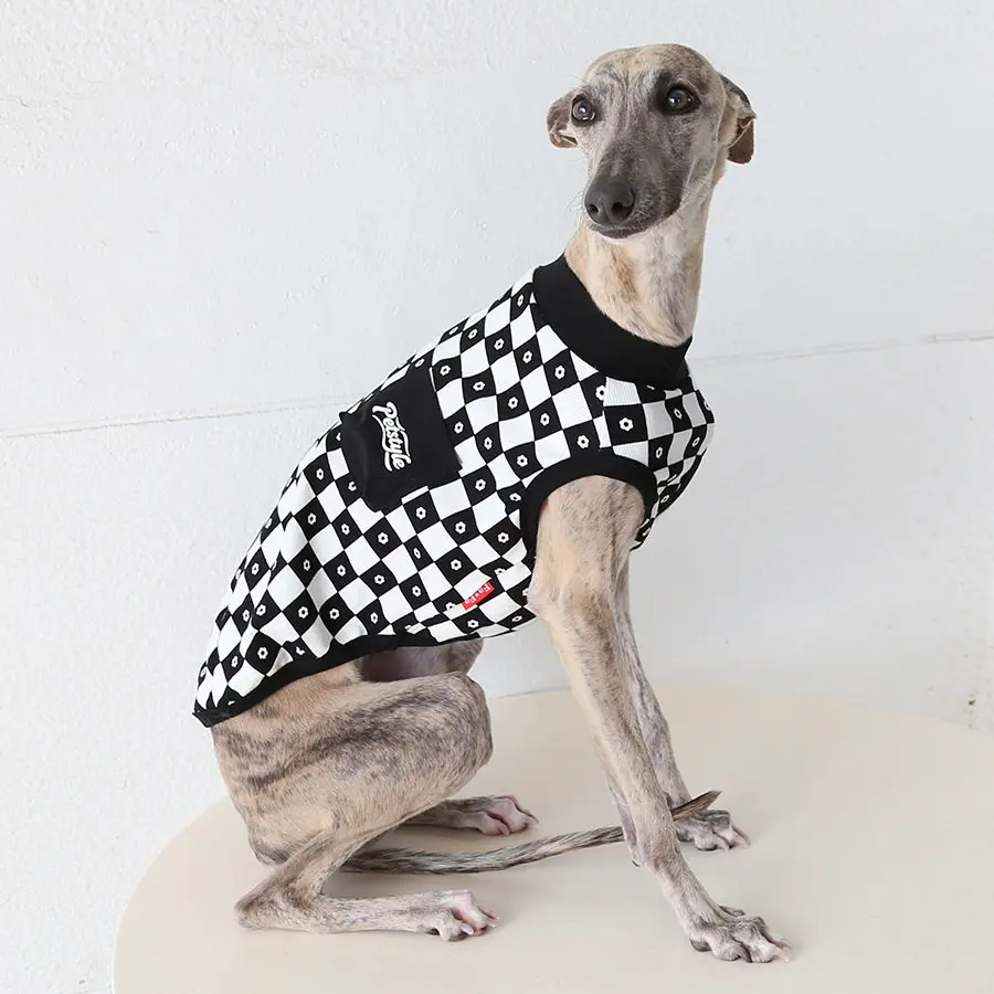 Camiseta protección solar para Whippet y Galgo Italiano