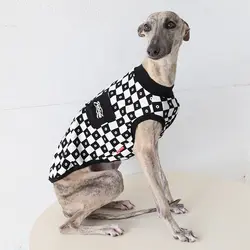 Camiseta protección solar para Whippet y Galgo Italiano