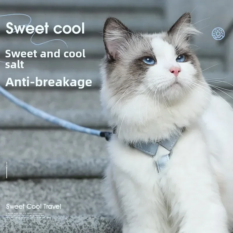Conjunto de arnés y correa para gatos, chaleco suave ajustable a prueba de Escape, arnés para gatitos para caminar al aire libre, suministros para mascotas con Collar - imagen 3