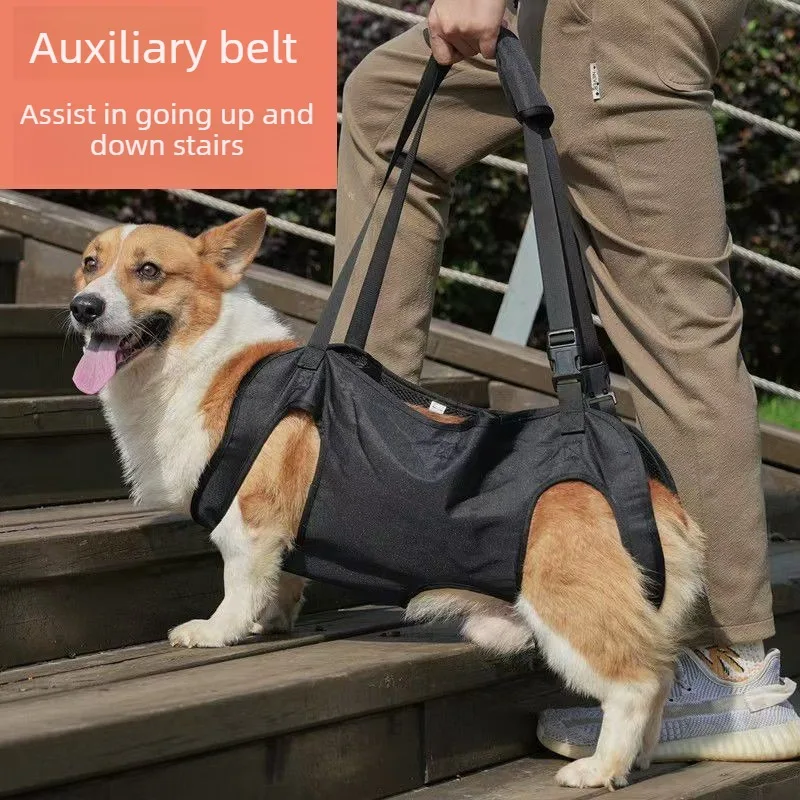 Transportín con arnés de apoyo para perros mayores o lesionados - imagen 5
