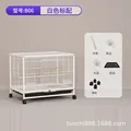 B06 White Standard