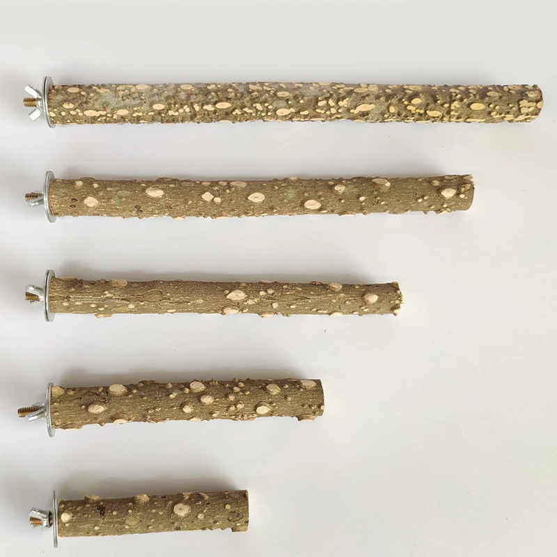 Barra de molienda de pico de garra de pájaro de 10/15/20 cm, palo de pie, suministros para pájaros, accesorios para jaula, estación de molienda de pie - imagen 4